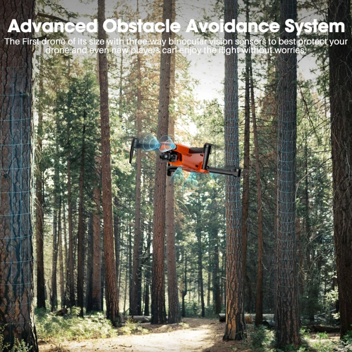 Slide 6